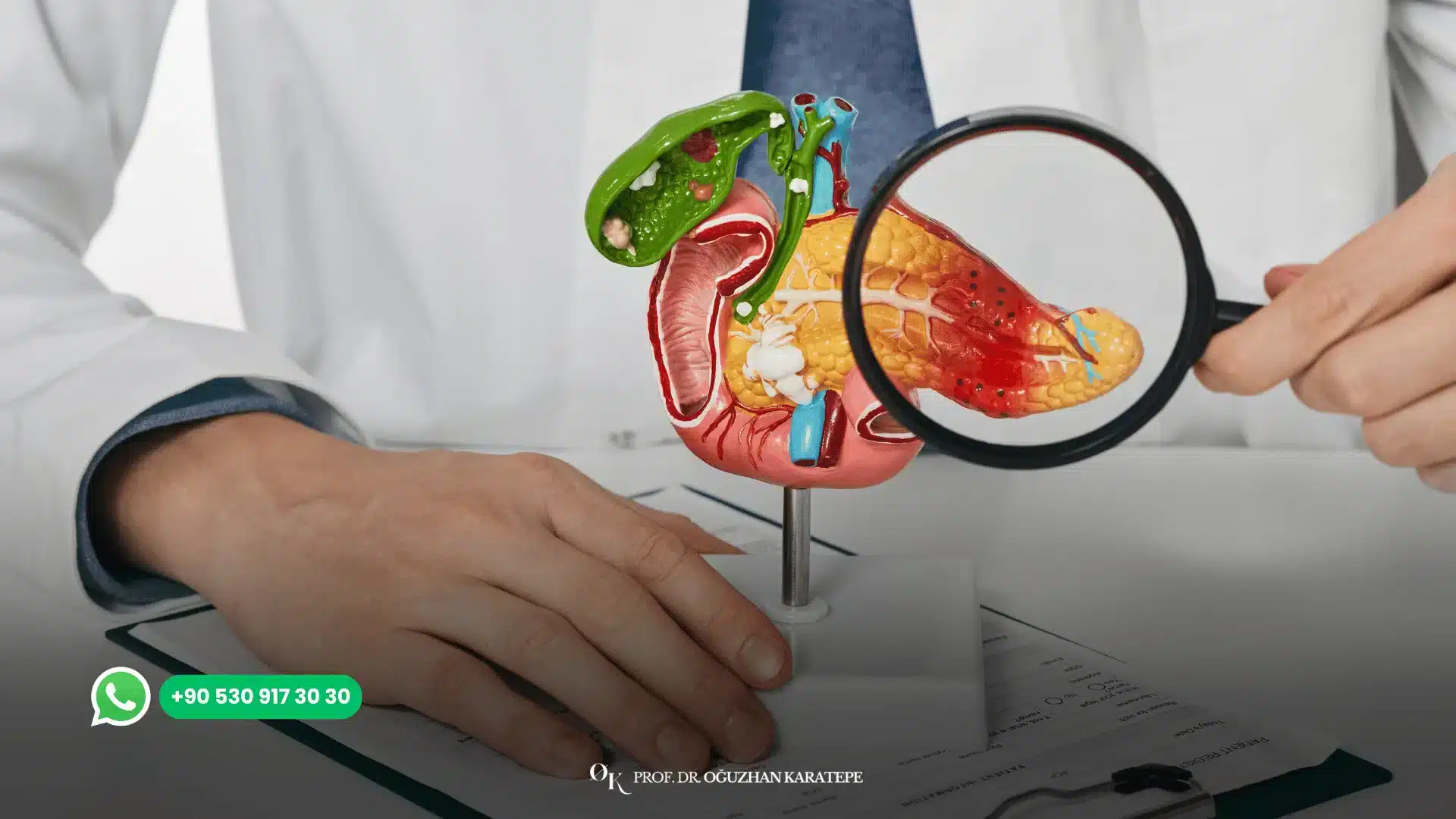 Pancreatic cancer awareness and treatment