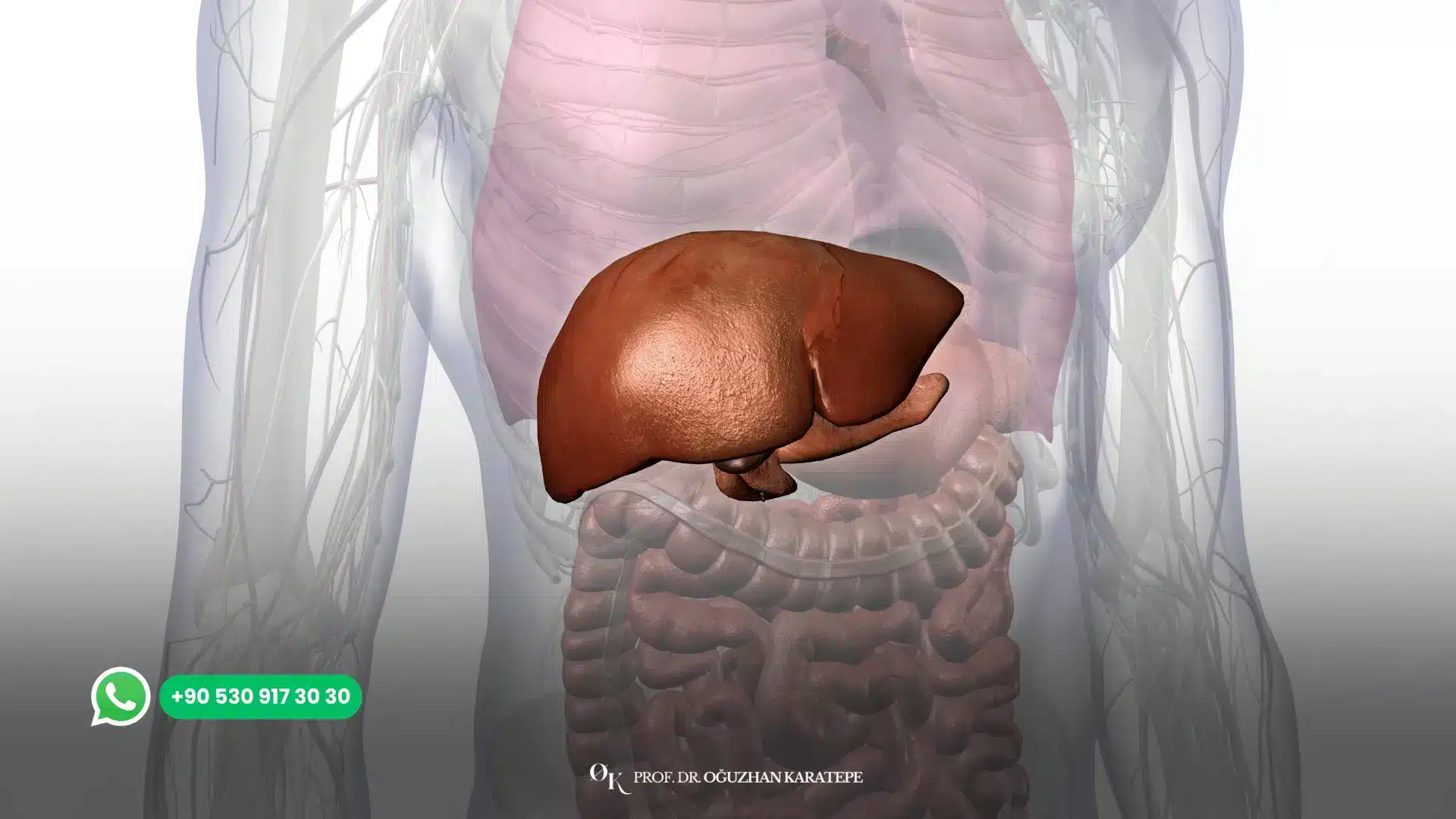Liver cancer surgery techniques